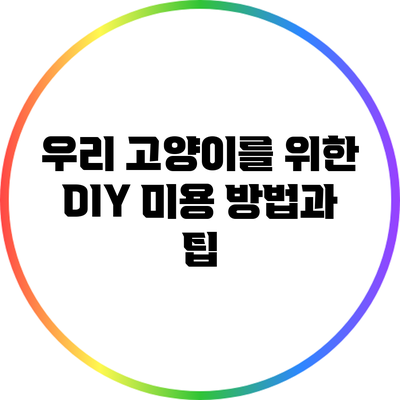 우리 고양이를 위한 DIY 미용 방법과 팁