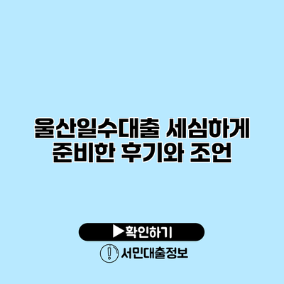 울산일수대출: 세심하게 준비한 후기와 조언