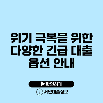 위기 극복을 위한 다양한 긴급 대출 옵션 안내