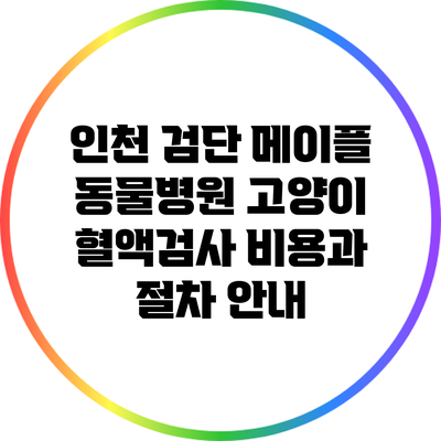 인천 검단 메이플 동물병원 고양이 혈액검사 비용과 절차 안내