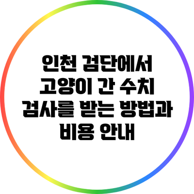 인천 검단에서 고양이 간 수치 검사를 받는 방법과 비용 안내