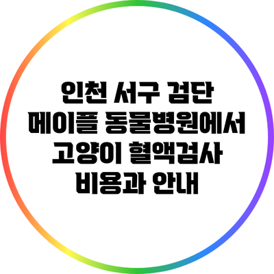 인천 서구 검단 메이플 동물병원에서 고양이 혈액검사 비용과 안내