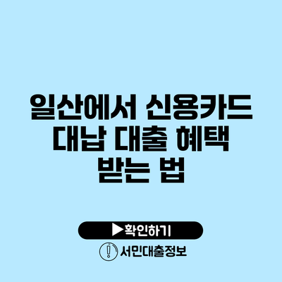일산에서 신용카드 대납 대출 혜택 받는 법