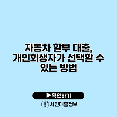 자동차 할부 대출, 개인회생자가 선택할 수 있는 방법