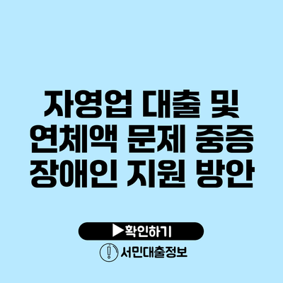 자영업 대출 및 연체액 문제: 중증 장애인 지원 방안