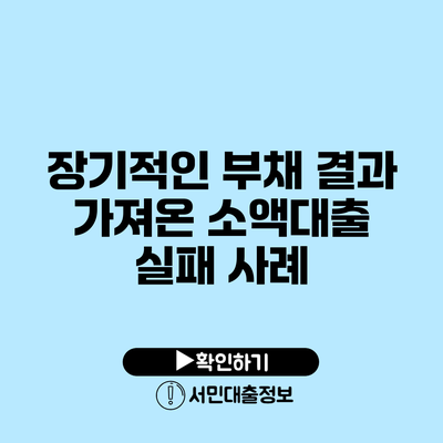 장기적인 부채 결과 가져온 소액대출 실패 사례