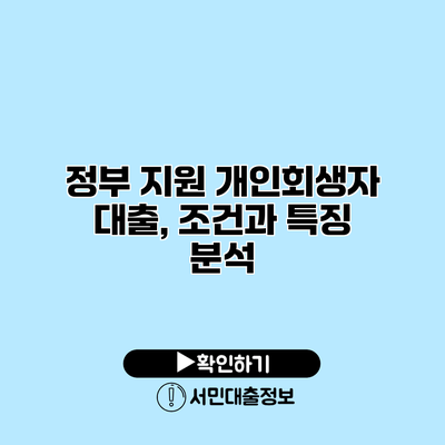 정부 지원 개인회생자 대출, 조건과 특징 분석