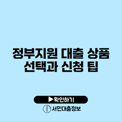 정부지원 대출 상품: 선택과 신청 팁