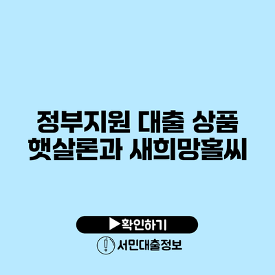 정부지원 대출 상품 : 햇살론과 새희망홀씨
