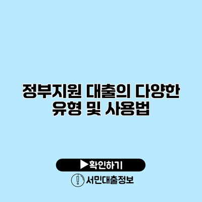 정부지원 대출의 다양한 유형 및 사용법