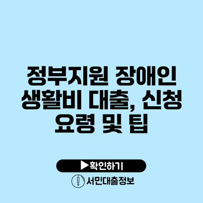 정부지원 장애인 생활비 대출, 신청 요령 및 팁