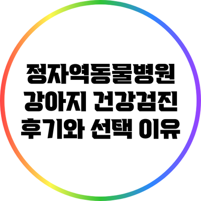 정자역동물병원 강아지 건강검진 후기와 선택 이유