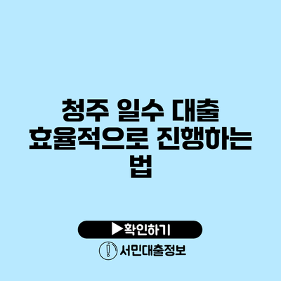 청주 일수 대출: 효율적으로 진행하는 법