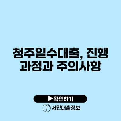 청주일수대출, 진행 과정과 주의사항
