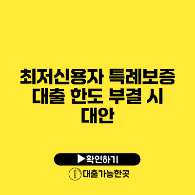 최저신용자 특례보증 대출 한도 부결 시 대안