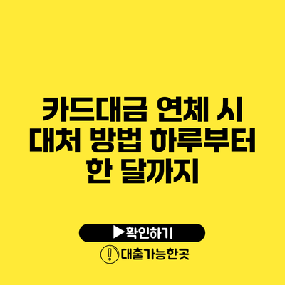 카드대금 연체 시 대처 방법 하루부터 한 달까지