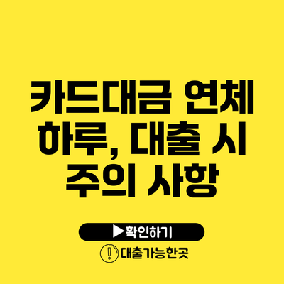 카드대금 연체 하루, 대출 시 주의 사항