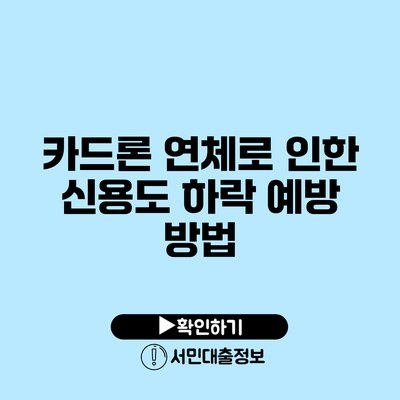 카드론 연체로 인한 신용도 하락: 예방 방법