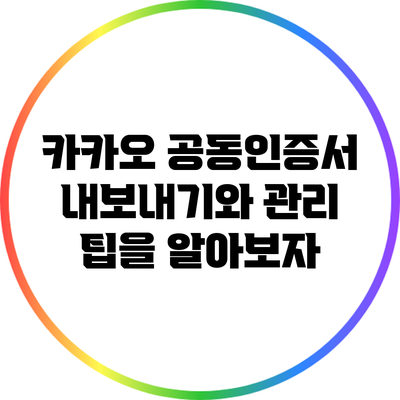 카카오 공동인증서 내보내기와 관리 팁을 알아보자