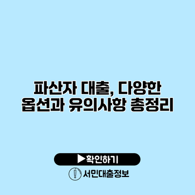 파산자 대출, 다양한 옵션과 유의사항 총정리