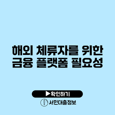 해외 체류자를 위한 금융 플랫폼 필요성