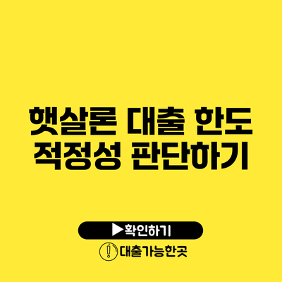 햇살론 대출 한도 적정성 판단하기