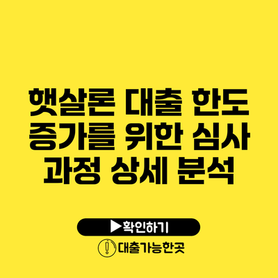 **햇살론 대출 한도 증가를 위한 심사 과정 상세 분석**