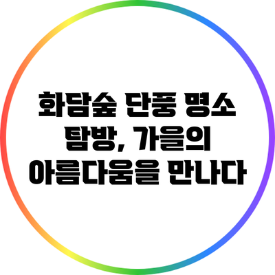 화담숲 단풍 명소 탐방, 가을의 아름다움을 만나다