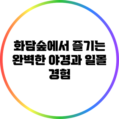 화담숲에서 즐기는 완벽한 야경과 일몰 경험