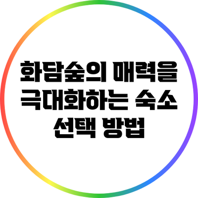 화담숲의 매력을 극대화하는 숙소 선택 방법