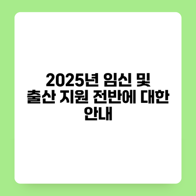 2025년 임신 및 출산 지원 전반에 대한 안내