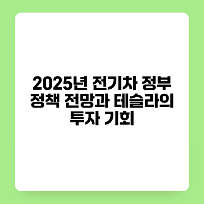 2025년 전기차 정부 정책 전망과 테슬라의 투자 기회