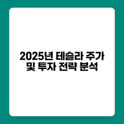 2025년 테슬라 주가 및 투자 전략 분석