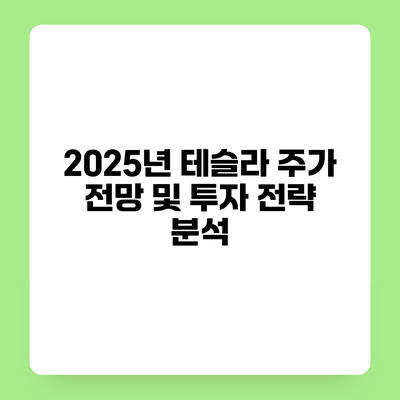 2025년 테슬라 주가 전망 및 투자 전략 분석