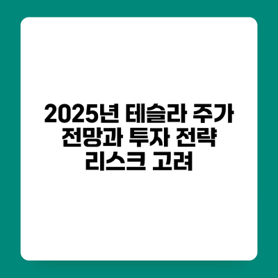 2025년 테슬라 주가 전망과 투자 전략 리스크 고려