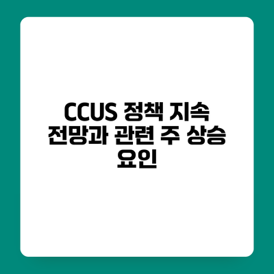 CCUS 정책 지속 전망과 관련 주 상승 요인