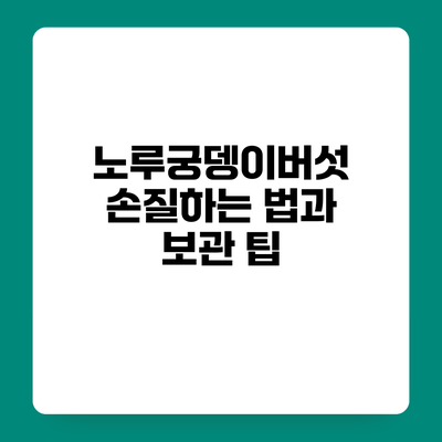 노루궁뎅이버섯 손질하는 법과 보관 팁