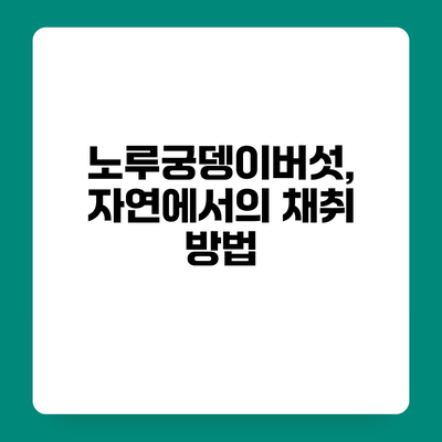 노루궁뎅이버섯, 자연에서의 채취 방법