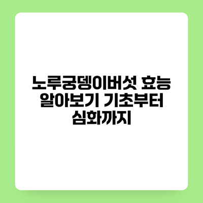 노루궁뎅이버섯 효능 알아보기 기초부터 심화까지