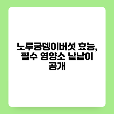 노루궁뎅이버섯 효능, 필수 영양소 낱낱이 공개