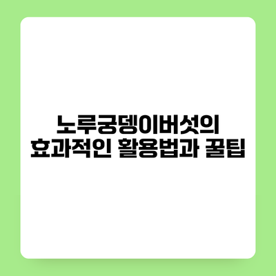 노루궁뎅이버섯의 효과적인 활용법과 꿀팁