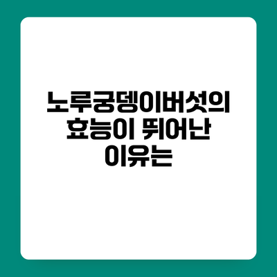노루궁뎅이버섯의 효능이 뛰어난 이유는?