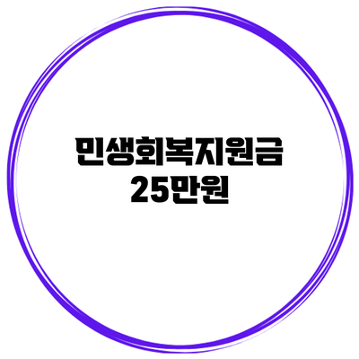 민생회복지원금 25만원