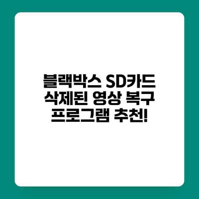 블랙박스 SD카드 삭제된 영상 복구 프로그램 추천!