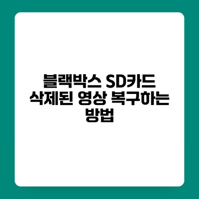 블랙박스 SD카드 삭제된 영상 복구하는 방법