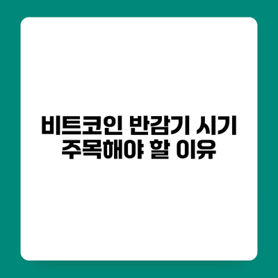 비트코인 반감기 시기 주목해야 할 이유