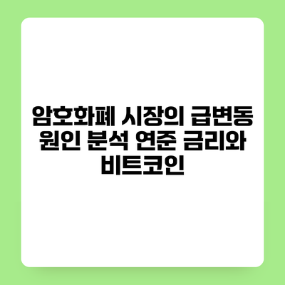 암호화폐 시장의 급변동 원인 분석 연준 금리와 비트코인