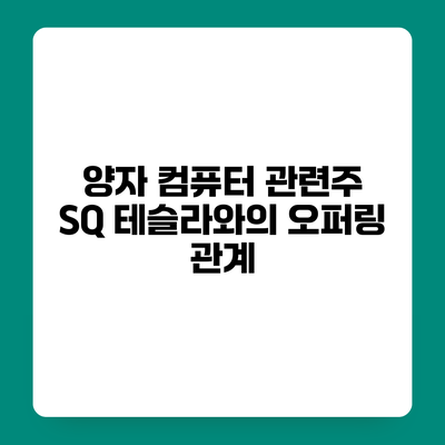 양자 컴퓨터 관련주 SQ 테슬라와의 오퍼링 관계
