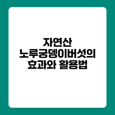 자연산 노루궁뎅이버섯의 효과와 활용법