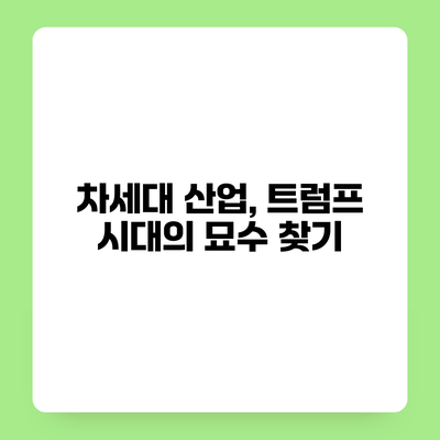 차세대 산업, 트럼프 시대의 묘수 찾기